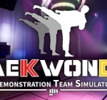 跆拳道虚拟示范团